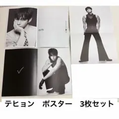BTS ARIRANG living ver テヒョン　V ポスター　3枚セット