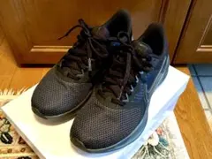 Item thumbnail for item 1cde8115-5da2-4834-9ba5-8f1b1951ead1