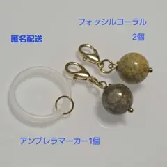 Item thumbnail for item b22267de-ede2-482c-940d-b74dba2858e2