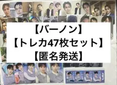 【バーノン】【トレカ47枚セット】【匿名発送】