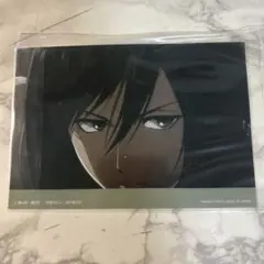 ミカサ・アッカーマン ブロマイド 進撃の巨人日本製