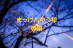 【まっけんゆう様専用】ペンダントトップ　クラウン　ストーン付き　シルバー925