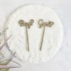 購入前にコメント必ずしてください。様 リクエスト 2点 まとめ商品