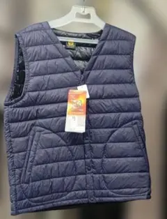 Item thumbnail for item 2e3f6527-87a7-4d58-95bc-f5aeb8deb3a2