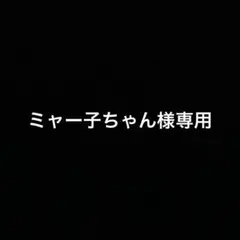 シルバニアファミリー フィギュアコレクション2