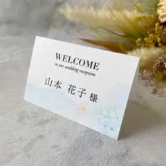 席札Ｖ-８　ウェディング