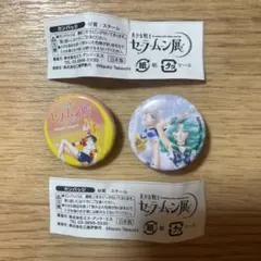【新品未使用】セーラームーン展 缶バッチ 2点セット！