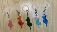 우산 마커 고양이 모티프 5 색 세트