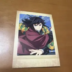 鬼滅の刃 ┊ ぱしゃこれ ┊ 冨岡義勇 ┊ 8-06 - メルカリ