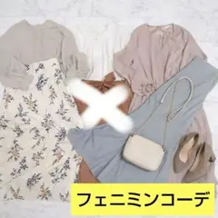 新品タグ付入 フェミニン 5点 まとめ売り 1週間着回しセット