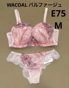 22時まで！！WACOAL パルファージュ　ブラショーset E75.M