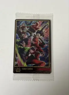 BOT ランペ　トレカ　シークレット