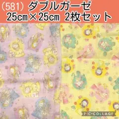 ダブルガーゼ(581)ディズニー　プリンセス　各25×25 2枚セット