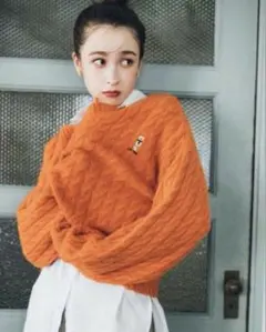 LILY BROWN リリーブラウン リリーベアニット