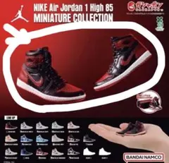 NIKE Air Jordan 1 High 85ミニチュアコレクション5種レア