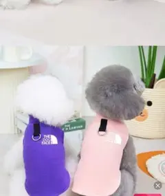 Item thumbnail for item 4fdafa0c-e943-4730-8924-7eb08da388a9