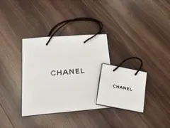 CHANEL ショッパー　大小2枚セット