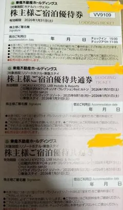 東急不動産ホテルハーヴェスト 優待券