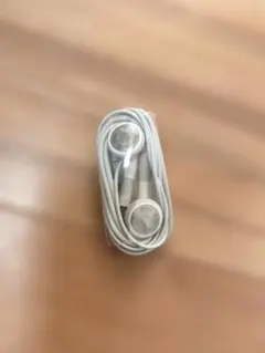 Apple 純正 イヤホン 丸型 3.5mmプラグ 旧型 iPod iPhone