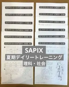2026年最新】デイリーサピックスの人気アイテム - メルカリ