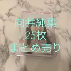 Item thumbnail for item a9f5ba7e-e33d-46e6-be51-2ebc50f3ff87