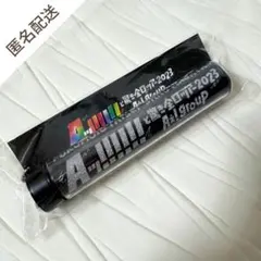 【 Aぇ! group 】 全国ツアー2023 付け替えペンライトトップ ①