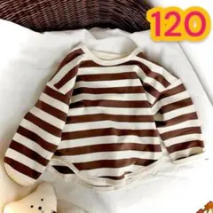 ⛄120cm⛄ ボーダー カットソー 長袖 トップス ブラウン 茶色 ストライプ