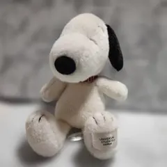 USJ　ユニバーサル・スタジオ・ジャパン　PEANUT　スヌーピー　ぬいぐるみ