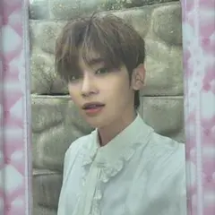 zb1 ゼベワン テレ トレカ 封入