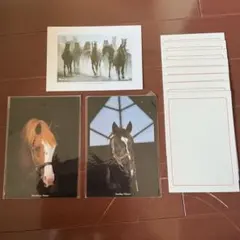 Item thumbnail for item a20f32de-f72b-47d9-a1a1-3895bbadf14a