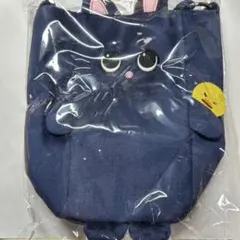 RIIZE ファンライトバッグ FANLIGHT WONBIN　ウォンビン