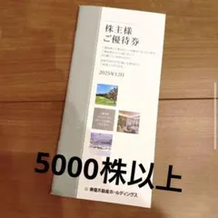 東急不動産ホールディングス 株主優待券冊子 5000株以上