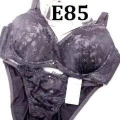 45[E85＆LL]Eleganteブラジャーショーツ　(古代紫)渋いパープルのサムネイル