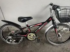 シルバーの方にも小さな20サイズ名古屋近郊限定手渡のみ名古屋市中村