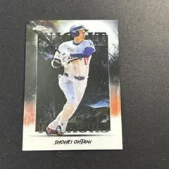 HN3244様 リクエスト 2点 まとめ商品