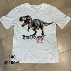 子ども用半袖Tシャツ　140 h&m ティラノサウルスのサムネイル