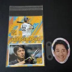 福岡ソフトバンクホークス 藤井皓哉 直筆サイン入りキャップ 本人証明書付き Amazon.co.jp: ソフトバンクホークス 藤井皓哉 直筆サイン 広島カープ