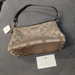 Item thumbnail for item 7603a9a3-d91e-4c37-8f3a-450e0afd8942