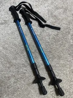 Item thumbnail for item 085cae4f-2d43-4595-be01-6c100b950994