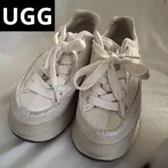UGG 22cm ホワイト 厚底キャンバススニーカー