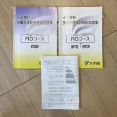 祝❕合格値下げ‼️ほぼ無記入☆【最新版】浜学園　日曜志望校別特訓　4教科 浜学園 日曜志望校別特訓 ( 4科 ) の場合 | 最初で最後の中学受験 in