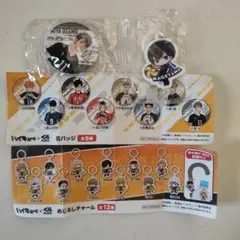 ハイキュー!! 缶バッジ、めじるしチャーム