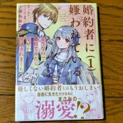婚約者に嫌われているようなので離れてみたら、なぜか抗議されました (1) 漫画