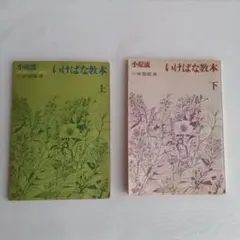 2025年最新】小原流 教本の人気アイテム - メルカリ