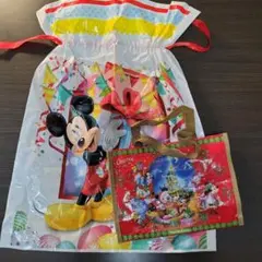ディズニーランド2017 クリスマスショッピングバッグ