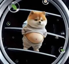 ココナッツ様 リクエスト 2点 まとめ商品