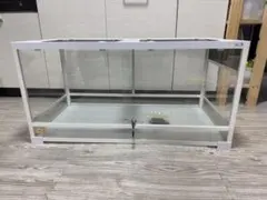 2025年最新】パンテオン ホワイト WH9045の人気アイテム - メルカリ