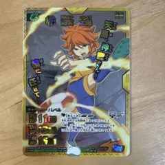 イナズマイレブン GO TCG 菜花黄名子セット - メルカリ