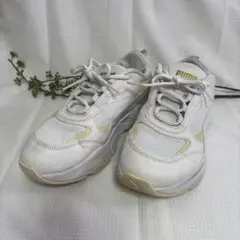 Item thumbnail for item 72a0513b-86b3-4638-92af-51f3f327cb34