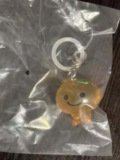 《みかんぼうや》サンエックス マスコットチャーム めじるしアクセサリー